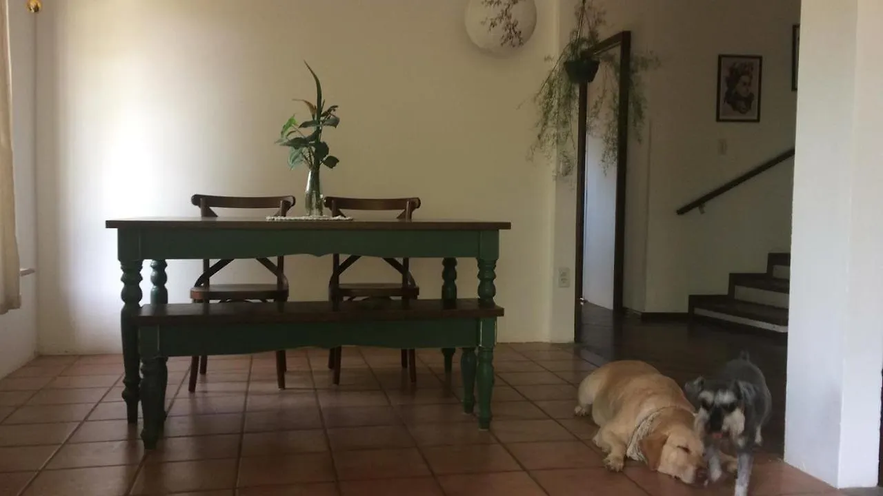 Las Chicas Vandrarhem Florianópolis Brasilien